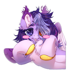 Size: 2500x2500 | Tagged: safe, artist:medkit, imported from derpibooru, oc, oc only, oc:wendy levitar, pegasus, pony, :3, :p, big eyes, blushing, chest fluff, colored belly, colored ear fluff, colored eartips, colored eyebrows, colored eyelashes, colored hooves, colored lineart, colored pupils, colored sketch, colored wings, colored wingtips, ear cleavage, ear fluff, ears up, eye clipping through hair, eyebrows, eyebrows visible through hair, eyelashes, facial markings, feathered wings, female, freckles, gift art, gold hooves, gradient hooves, hair over one eye, half body, heart ears, heart shaped, heterochromia, high res, hoof fluff, hoof to cheek, hooves, horseshoes, lightly watermarked, lying down, mare, multicolored coat, partially open wings, shading, short hair, signature, simple background, sketch, solo, tassels, tongue out, transparent background, two toned mane, wall of tags, watermark, wings