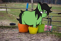 Size: 500x333 | Tagged: safe, artist:itskaarts, artist:pukifurs, edit, imported from derpibooru, oc, oc:filly anon, earth pony, pony, cute, female, filly, foal, meme, ponified meme, shitposting