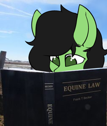 Size: 1510x1790 | Tagged: safe, artist:itskaarts, artist:pukifurs, edit, imported from derpibooru, oc, oc:filly anon, earth pony, pony, cute, female, filly, foal, meme, ponified meme, shitposting