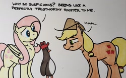 Size: 2048x1269 | Tagged: safe, artist:hoofclid, imported from derpibooru, applejack, fluttershy, bird, earth pony, pegasus, penguin, pony, clothes, crossover, dialogue, feathers mcgraw, female, frown, gloves, mare, marker drawing, narrowed eyes, rubber gloves, speech bubble, traditional art, trio, wallace and gromit