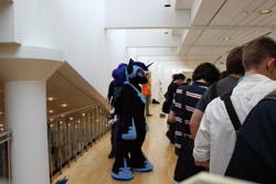 Size: 1920x1280 | Tagged: safe, imported from derpibooru, nightmare moon, 2015, fursuit, galacon, irl, photo, ponysuit