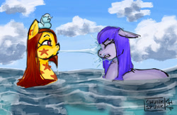 Size: 1666x1080 | Tagged: safe, artist:chunk_spunk, imported from derpibooru, oc, oc only, oc:iris iridescence, earth pony, pony, cloud, duo, grumpy, looking at each other, looking at someone, ocean, playing, spitting, swimming, water