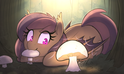 Size: 4000x2400 | Tagged: safe, artist:thebatfang, oc, oc only, oc:bella morel, bat pony, pony, bat pony oc, bat wings, cute, eye clipping through hair, fangs, female, forest, glowing mushroom, leaf, looking at something, lying down, mare, mouth hold, mushroom, ocbetes, on ground, prone, solo, tree, wallpaper, wings