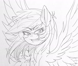 Size: 2221x1878 | Tagged: safe, imported from derpibooru, rainbow dash, pegasus, pony, sketch, spread wings, traditional art, wings