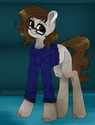 Size: 1053x1384 | Tagged: safe, artist:dorry, imported from derpibooru, oc, oc only, earth pony, pony, clothes, earth pony oc, female, female oc, glasses, looking at you, mare, mare oc, oc name needed, old art, ponysona, smiling, solo, standing, sweater, unshorn fetlocks