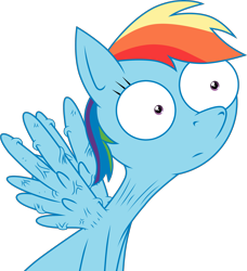 Size: 2589x2839 | Tagged: safe, artist:rocan64, imported from derpibooru, rainbow dash, pegasus, pony, .mov, shed.mov, cute, dashabetes, female, frown, mare, pony.mov, rainbow dash is not amused, rainbow swag, shrunken pupils, simple background, sitting, solo, spread wings, surprised, swag, transparent background, unamused, vector, wingboner, wings