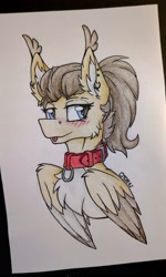 Size: 2268x3781 | Tagged: safe, artist:cmdraj, imported from derpibooru, oc, oc only, oc:dima, pegasus, pony, blushing, collar, mlem, photo, silly, solo, tongue out, traditional art