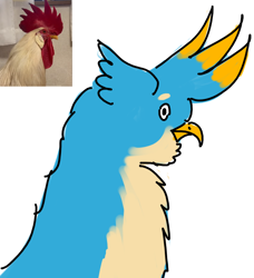 Size: 720x788 | Tagged: safe, artist:horsesplease, imported from derpibooru, gallus, bird, faic, gallus the rooster, gallusposting, kentucky fried gallus, ponified animal photo, rooster, that griffon sure does love kfc