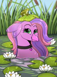 Size: 1280x1733 | Tagged: safe, artist:shamy-crist, imported from derpibooru, oc, oc:lilac, classical hippogriff, frog, hippogriff, female, lilypad, solo