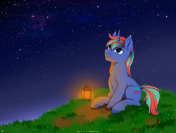 Size: 5281x4000 | Tagged: safe, artist:nnaly, imported from derpibooru, oc, oc only, oc:lapis, pony, unicorn, grass, horn, lantern, male, night, night sky, outdoors, sitting, sky, solo, stallion, stars, unshorn fetlocks