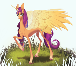 Size: 2964x2545 | Tagged: safe, artist:meggychocolatka, imported from derpibooru, part of a set, sunny starscout, alicorn, pony, artificial horn, artificial wings, augmented, beautiful, braid, braided ponytail, coat markings, colored, commission, commissioner:princess, concave belly, eye clipping through hair, eyebrows, eyebrows visible through hair, eyelashes, female, g5, grass, hoof fluff, horn, large wings, long horn, long mane, long tail, looking at you, magic, magic horn, magic wings, mare, no source available, older, older sunny starscout, ponytail, princess sunny starscout, race swap, raised hoof, scrunchie, shading, slender, smiling, smiling at you, socks (coat markings), solo, sparkles, sparkly wings, spread wings, standing, sunnycorn, tail, tall, thin, thin legs, unshorn fetlocks, wings
