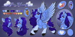 Size: 6000x3000 | Tagged: safe, artist:dewdropinn, imported from derpibooru, oc, oc:airheart, pegasus, pony, braid, coat markings, colored legs, ear fluff, facial scar, hair over one eye, hooves, jewelry, locket, male, necklace, ponytail, reference sheet, scar, socks (coat markings), spread wings, stallion, wings