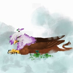 Size: 1000x1000 | Tagged: safe, artist:thunchanok, imported from twibooru, gilda, griffon, abstract background, clover, folded wings, four leaf clover, image, looking sideways, lying down, mouth hold, needs more jpeg, on side, simple background, solo, talons, white background, wings