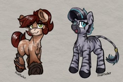 Size: 1224x818 | Tagged: safe, artist:reddthebat, imported from derpibooru, oc, oc only, oc:novella (reddthebat), earth pony, pony, zebra, chest fluff, coat markings, female, filly, foal, frog (hoof), leg brace, looking at you, open mouth, open smile, smiling, smiling at you, underhoof, unshorn fetlocks, zebra oc