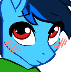 Size: 537x541 | Tagged: safe, artist:mxiiisy, imported from derpibooru, oc, oc only, oc:cobalt chaser, pegasus, pony, blue coat, blue mane, blush lines, blushing, clothes, digital art, emotes, hoodie, jacket, looking at you, male, pegasus oc, red eyes, simple background, solo, sweater, transparent background, wings