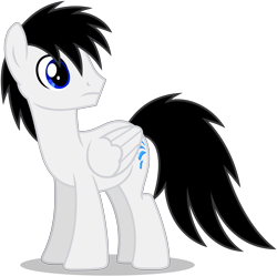 Size: 4498x4488 | Tagged: safe, artist:creedyboy124, imported from derpibooru, oc, oc only, oc:shane park, pegasus, pony, absurd resolution, black hair, blue eyes, folded wings, looking back, male, pegasus oc, simple background, stallion, transparent background, vector, white coat, wings