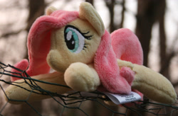 Size: 2672x1752 | Tagged: safe, artist:bastler, imported from derpibooru, fluttershy, pegasus, pony, female, irl, mare, outdoors, photo, plushie, solo, sunset