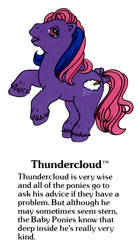 Size: 550x1000 | Tagged: safe, imported from derpibooru, thundercloud (g1), earth pony, pony, bow, cute, freckles, g1, g1 backstory, male, mountain boy ponies, my little pony fact file, official, open mouth, open smile, smiling, solo, stallion, tail, tail bow, text, thundorablecloud, trademark