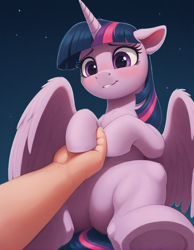 Size: 1248x1608 | Tagged: safe, imported from twibooru, twilight sparkle, alicorn, human, pony, ai content, ai generated, female, hand, holding hooves, hooves, horn, image, looking down, mare, night, night sky, png, prompter:antedown, sitting, sky, smiling, stars, twilight sparkle (alicorn), wings