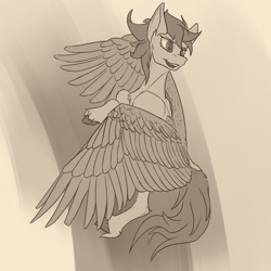 Size: 2160x2160 | Tagged: safe, artist:tenebrisnoctus, imported from derpibooru, oc, oc only, pegasus, pony, grayscale, monochrome, pegasus oc, solo, wings