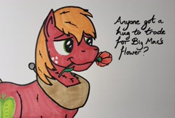 Size: 2048x1386 | Tagged: safe, artist:hoofclid, imported from derpibooru, big macintosh, earth pony, pony, female, flower, flower in mouth, lidded eyes, male, mare, marker drawing, mouth hold, rose, rose in mouth, smiling, solo, stallion, text, traditional art