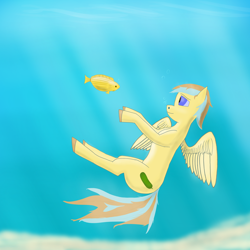 Size: 3000x3000 | Tagged: safe, artist:owlboy, imported from derpibooru, oc, oc only, fish, pegasus, pony, ocean, solo, underwater, water, wings