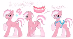 Size: 4096x2215 | Tagged: safe, artist:mylittlewarhorse, imported from derpibooru, oc, oc only, oc:morning delight, earth pony, pony, femboy, grin, high res, male, reference sheet, saddle, simple background, smiling, solo, stallion, tack, white background