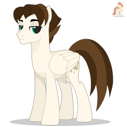 Size: 2834x2834 | Tagged: safe, artist:r4hucksake, imported from derpibooru, oc, oc only, oc:whisper dust, pegasus, pony, male, simple background, solo, stallion, transparent background