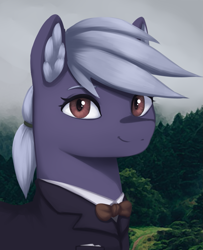 Size: 731x902 | Tagged: safe, artist:mrscroup, imported from derpibooru, oc, oc only, oc:nova whirl, earth pony, pony, equestria at war mod, bowtie, bust, clothes, ear fluff, earth pony oc, forest background, pony oc, ponytail, portrait, solo, tree