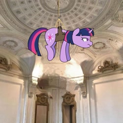 Size: 861x861 | Tagged: safe, artist:eltrash_art6, imported from derpibooru, twilight sparkle, pony, unicorn, building, female, mare, ponified animal photo, rope, solo, suspended, twilight sparkle is not amused, unamused, unicorn twilight