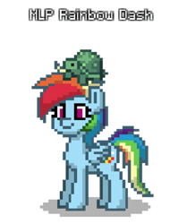 Size: 800x958 | Tagged: safe, artist:blackblade360, imported from derpibooru, rainbow dash, tank, pegasus, pony, turtle, pony town, blue coat, digital art, female, magenta eyes, mare, multicolored mane, multicolored tail, pixel art, simple background, smiling, tail, transparent background