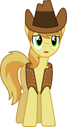 Size: 3000x5667 | Tagged: safe, artist:cloudy glow, imported from derpibooru, braeburn, earth pony, pony, cowboy hat, hat, male, simple background, solo, transparent background, vector