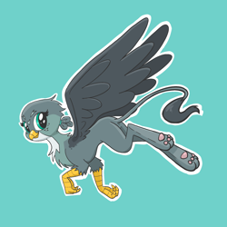 Size: 2048x2048 | Tagged: safe, artist:pfeffaroo, imported from derpibooru, gabby, griffon, flying, high res, looking at you, looking back, outline, paw pads, paws, simple background, smiling, solo, spread wings, teal background, white outline, wings