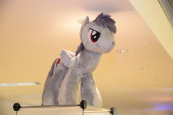 Size: 4928x3264 | Tagged: safe, imported from derpibooru, oc, oc only, pegasus, 2015, folded wings, galacon, indoors, irl, pegasus oc, photo, plushie, solo, wings