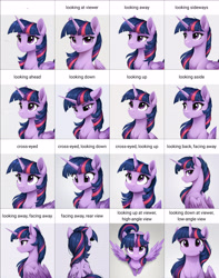 Size: 4096x5200 | Tagged: safe, imported from twibooru, twilight sparkle, alicorn, pony, ai content, ai generated, bust, chart, facing away, female, generator:zoinksnoob, high angle, image, looking at you, looking away, looking back, looking back at you, looking down, looking down at you, looking sideways, looking up, looking up at you, low angle, mare, needs more jpeg, portrait, prompter:siber, reference, solo, tantabus exclusive