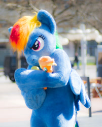 Size: 1543x1920 | Tagged: safe, artist:atalonthedeer, imported from derpibooru, applejack, rainbow dash, pony, 2016, brony fair, fursuit, holding a pony, irl, outdoors, photo, plushie, ponysuit