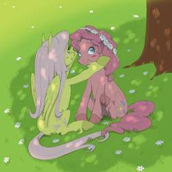 Size: 1600x1600 | Tagged: safe, imported from derpibooru, fluttershy, pinkie pie, earth pony, pegasus, pony, :d, blush sticker, blushing, closed mouth, dappled sunlight, duo, duo female, eyebrows, feathered wings, female, floral head wreath, flower, flutterpie, folded wings, full body, grass, hoof fluff, intertwined tails, lesbian, looking at someone, looking at something, looking up, mare, open mouth, open smile, outdoors, shade, shipping, sitting, smiling, smiling at someone, sunlight, tail, three quarter view, tree, under the tree, underhoof, unshorn fetlocks, wings