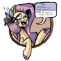 Size: 3024x3024 | Tagged: safe, artist:maniczombiedreamgirl, imported from derpibooru, fluttershy, butterfly, bad advice fluttershy, butterfly hairpin, exploitable meme, flower, flower in hair, hoof heart, meme, raised hoof, redraw, simple background, speech bubble, transparent background, underhoof, unshorn fetlocks