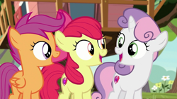 Size: 1920x1080 | Tagged: safe, screencap, apple bloom, scootaloo, sweetie belle, marks for effort, cutie mark crusaders, cutie mark cuties, foal, happy, open mouth