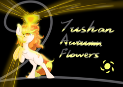 Size: 4093x2894 | Tagged: safe, artist:white spider, imported from derpibooru, oc, oc only, oc:tushan autumn flowers, unicorn, horn, shining, simple background, solo, unicorn oc