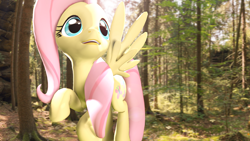 Size: 1920x1080 | Tagged: safe, artist:mlpstevepvb, imported from derpibooru, fluttershy, pegasus, 3d, female, forest, nature, source filmmaker, tree