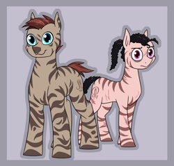 Size: 1510x1446 | Tagged: safe, artist:moonatik, imported from derpibooru, oc, oc only, oc:abdaz, oc:merzaal, zebra, fanfic art, looking at you, male, passepartout, ponytail, scar, stallion, zebra oc