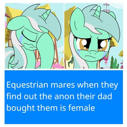 Size: 526x526 | Tagged: artist needed, source needed, safe, imported from derpibooru, lyra heartstrings, pony, unicorn, 2 panel comic, comic, crying, facehoof, horn, solo, text