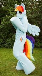 Size: 828x1487 | Tagged: safe, artist:tinderboxer, imported from derpibooru, rainbow dash, fursuit, irl, outdoors, photo, ponysuit, solo