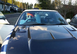 Size: 827x581 | Tagged: safe, artist:tinderboxer, imported from derpibooru, rainbow dash, car, fursuit, irl, outdoors, photo, ponysuit, solo