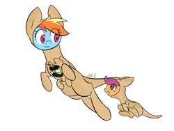 Size: 1000x750 | Tagged: safe, artist:jadedpuzzle, imported from derpibooru, rainbow dash, scootaloo, oc, oc:kenny, kangaroo, pegasus, pony, animal costume, clothes, costume, duo, simple background, transparent background, trio