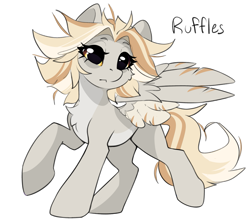 Size: 1817x1619 | Tagged: safe, artist:rileyisherehide, imported from derpibooru, oc, oc:ruffled feathers, pegasus, pony, chest fluff, female, highlights, mare, pegasus oc, reference sheet, simple background, solo, spread wings, transparent background, wings