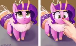 Size: 5000x3000 | Tagged: safe, artist:anastas, imported from derpibooru, pipp petals, bee, bee pony, human, hybrid, insect, original species, pegasus, pony, adorapipp, boop, bumblebee, bumblebipp, chibi, cute, female, g5, hand, insect wings, looking up, meme, nail polish, offscreen character, parody, pipp is short, pipp is smol, ponified animal photo, pov, smol, solo, species swap, wings