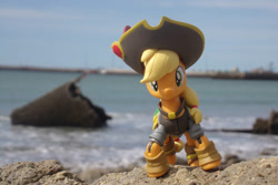 Size: 1095x730 | Tagged: safe, artist:dingopatagonico, imported from derpibooru, applejack, earth pony, hat, irl, ocean, photo, pirate, pirate hat, solo, toy, water