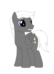 Size: 621x852 | Tagged: safe, imported from derpibooru, oc, oc only, pegasus, feathered wings, grey hair, male, male oc, photo, simple background, white background, wings